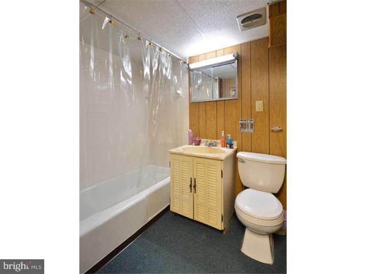 1227 South Rapps Dam Road Phoenixville, PA 19460 - Photo 17 of 20 Bathroom