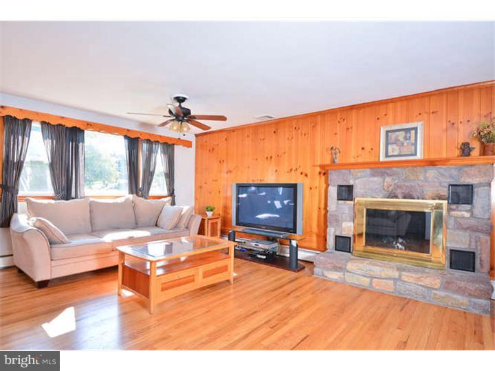 1227 South Rapps Dam Road Phoenixville, PA 19460 - Photo 4 of 20 Fireplace