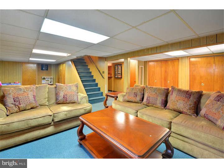 1227 South Rapps Dam Road Phoenixville, PA 19460 - Photo 10 of 20 Basement - Finished