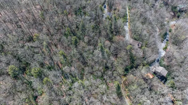 a view of a forest with lots of trees