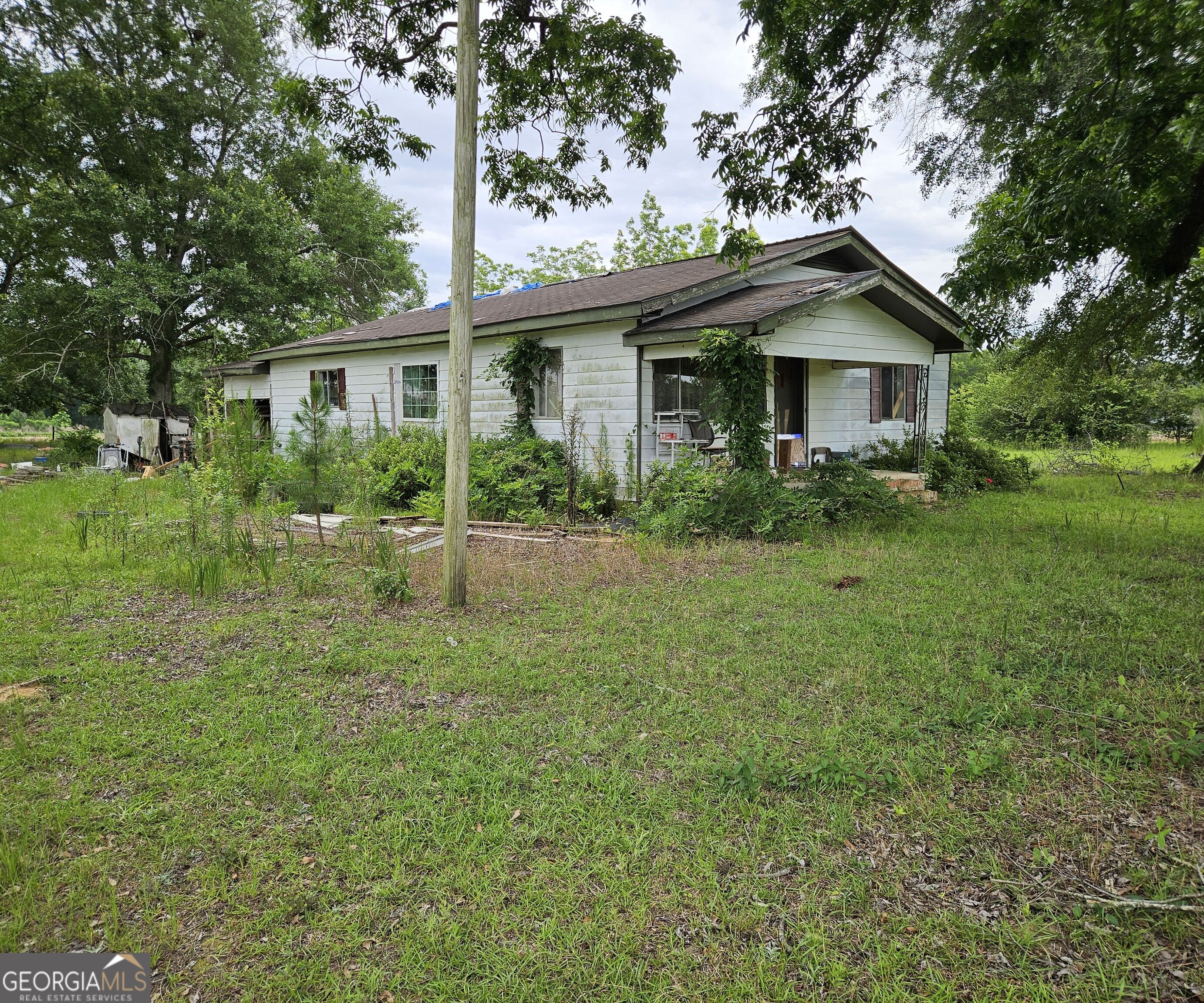 496-r L R L Sears Road Norman Park, GA 31771 - Photo 2 of 3 Gallery Image 2
