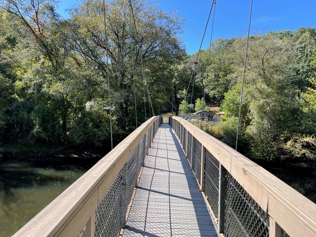 30 Gothic Court Ellijay, GA 30540 - Photo 51 of 59 Swinging Bridge between Riverside Pool & Fish Trap
