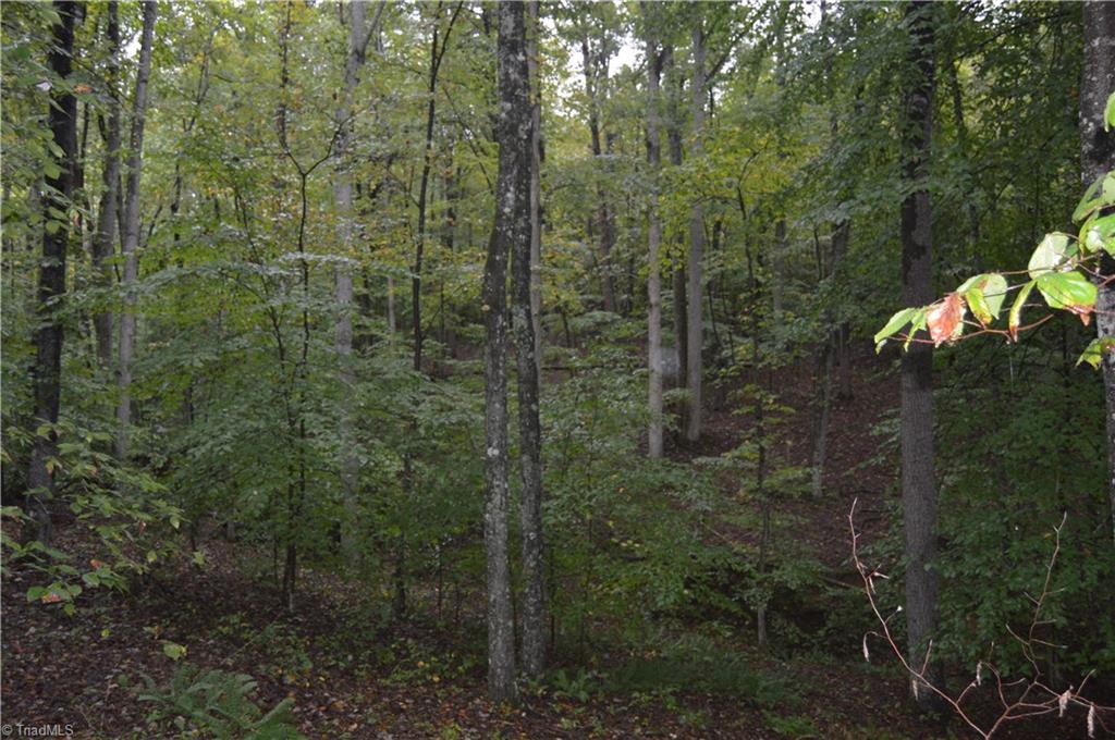 0 West Dalton Road King, NC 27021 - Photo 17 of 24 Gallery Image 17