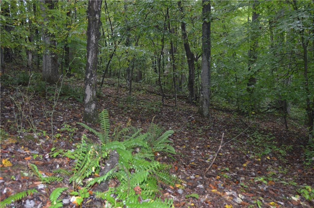 0 West Dalton Road King, NC 27021 - Photo 18 of 24 Gallery Image 18
