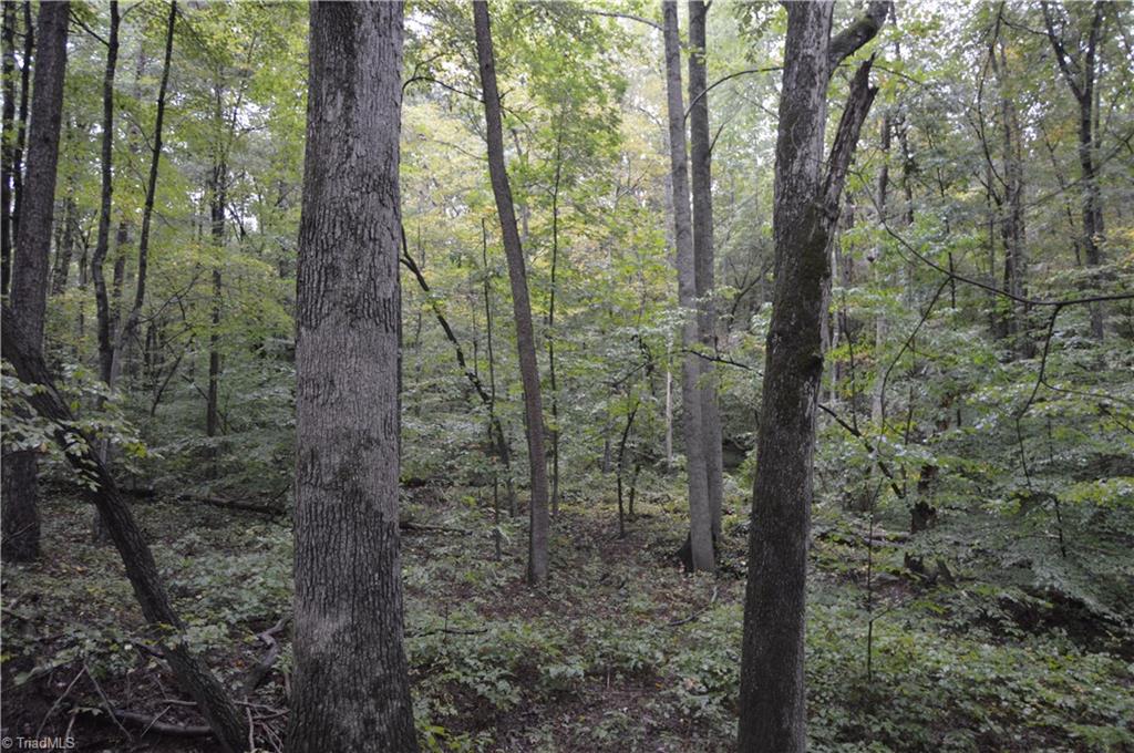 0 West Dalton Road King, NC 27021 - Photo 19 of 24 Gallery Image 19