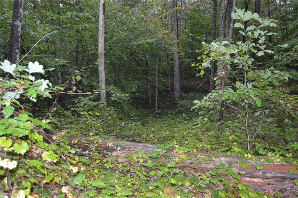 0 West Dalton Road King, NC 27021 - Photo 20 of 24 Gallery Image 20
