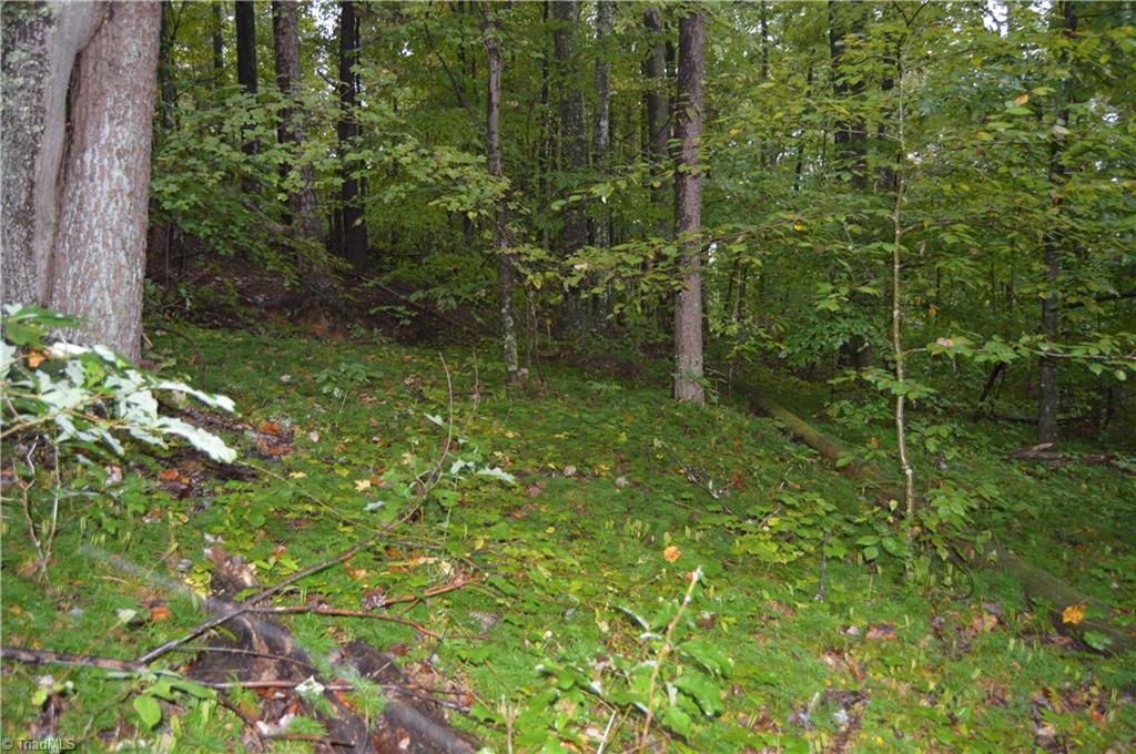 0 West Dalton Road King, NC 27021 - Photo 21 of 24 Gallery Image 21