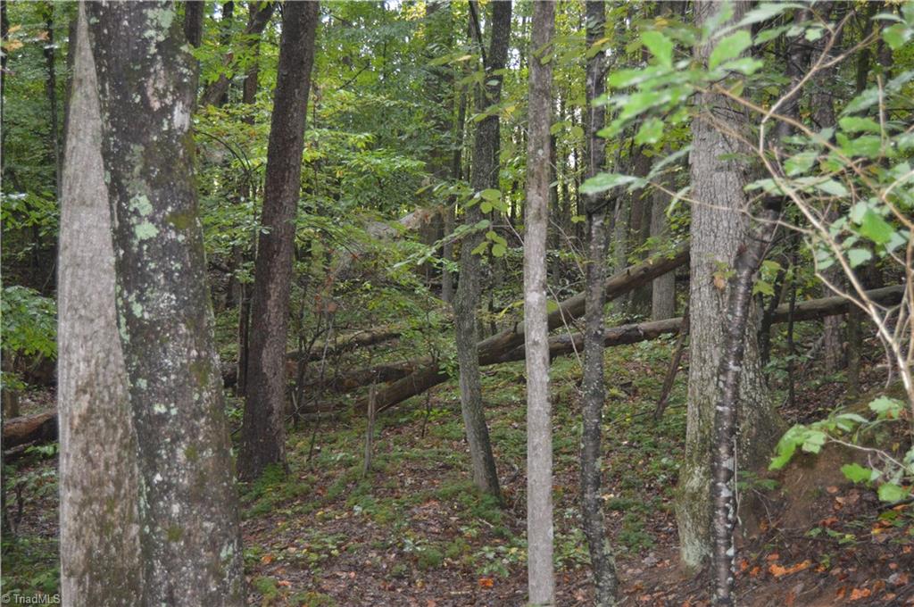 0 West Dalton Road King, NC 27021 - Photo 22 of 24 Gallery Image 22
