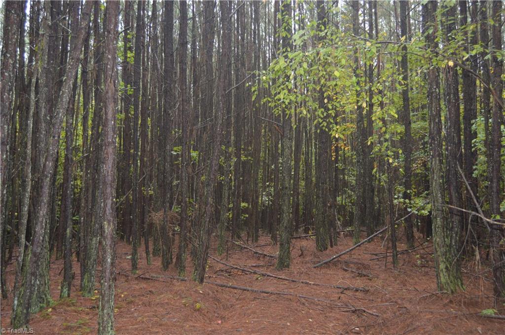 0 West Dalton Road King, NC 27021 - Photo 23 of 24 Gallery Image 23