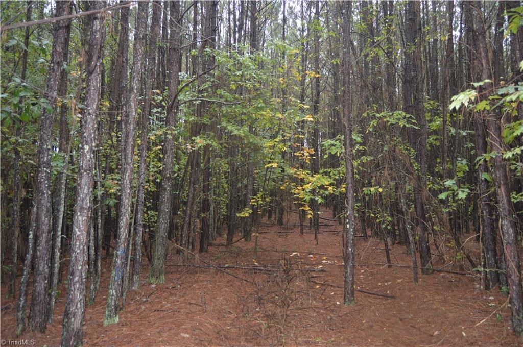 0 West Dalton Road King, NC 27021 - Photo 24 of 24 Gallery Image 24