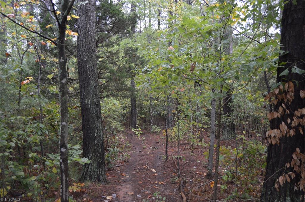 0 West Dalton Road King, NC 27021 - Photo 4 of 24 Gallery Image 4