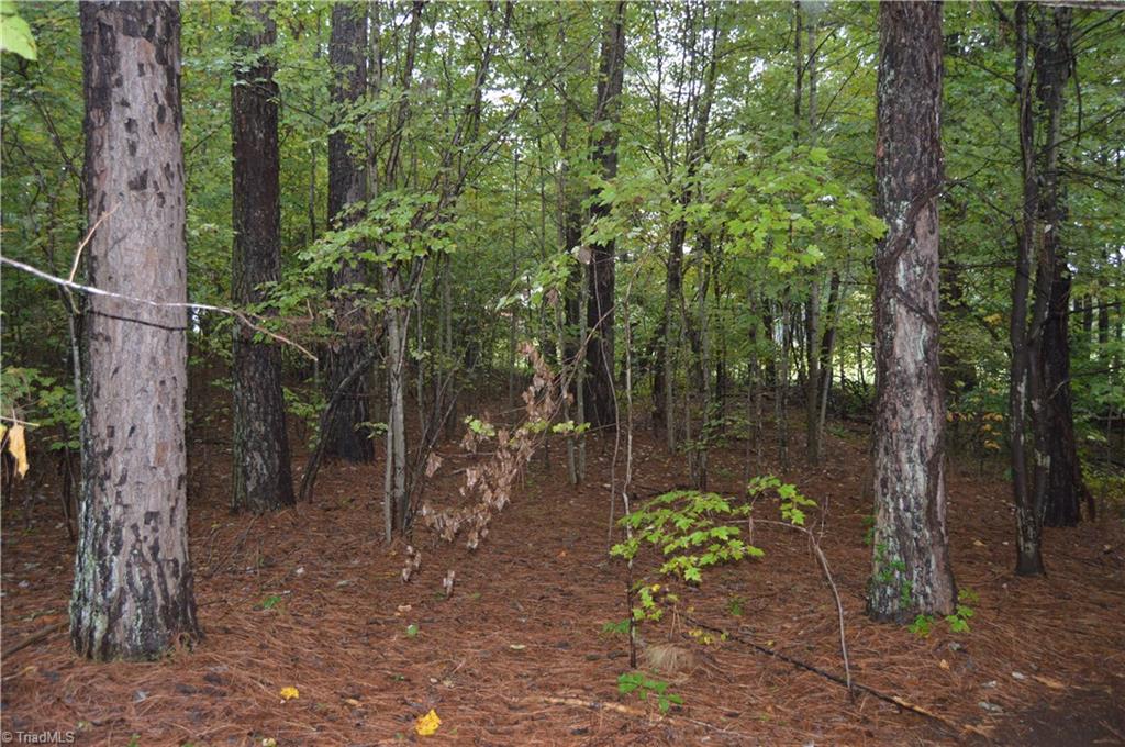 0 West Dalton Road King, NC 27021 - Photo 5 of 24 Gallery Image 5