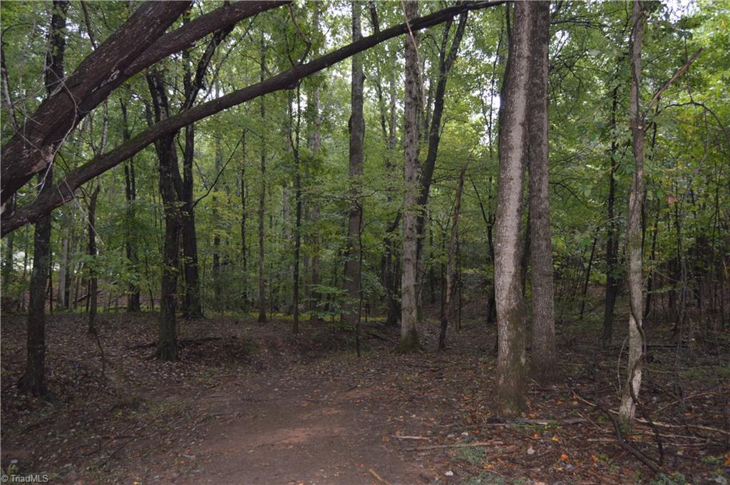 0 West Dalton Road King, NC 27021 - Photo 6 of 24 Gallery Image 6