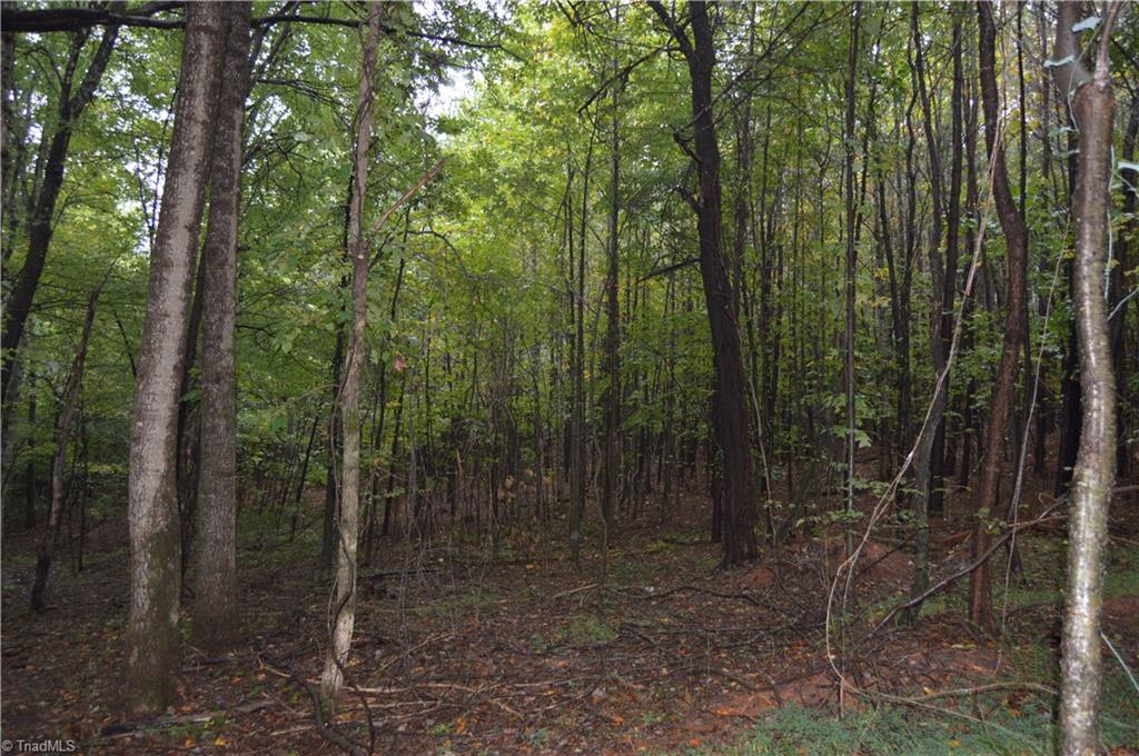 0 West Dalton Road King, NC 27021 - Photo 7 of 24 Gallery Image 7