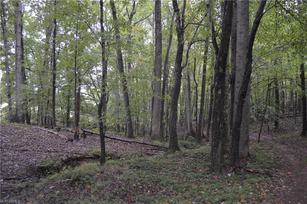0 West Dalton Road King, NC 27021 - Photo 8 of 24 Gallery Image 8