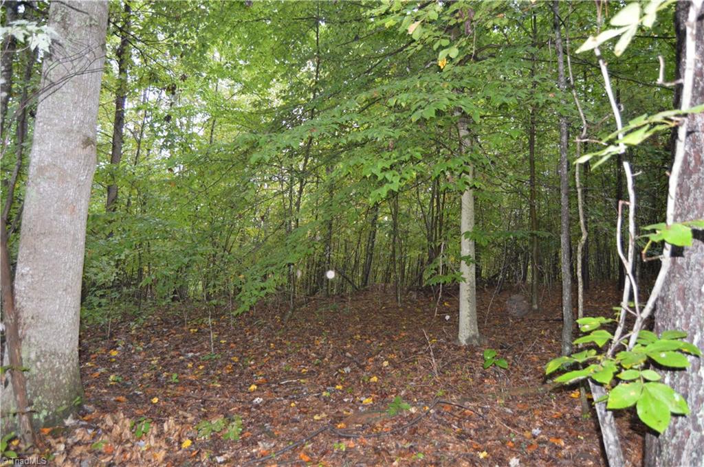 0 West Dalton Road King, NC 27021 - Photo 9 of 24 Gallery Image 9