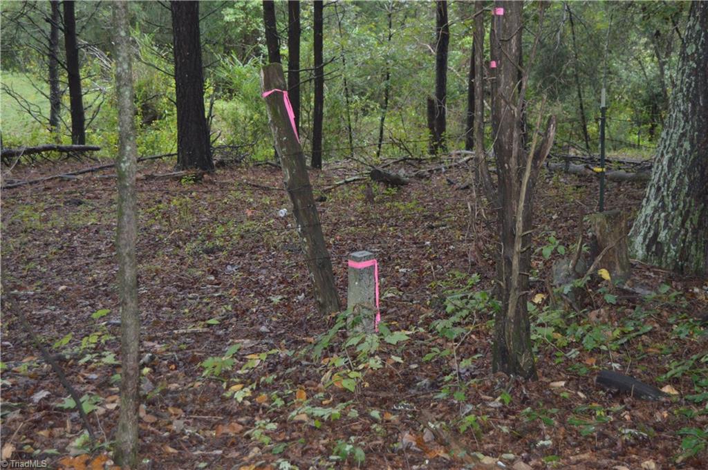0 West Dalton Road King, NC 27021 - Photo 10 of 24 Gallery Image 10