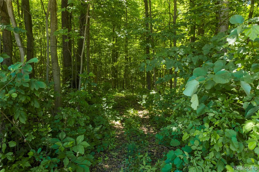 10069 Silver Lake Road Linden, MI 48451 - Photo 25 of 28