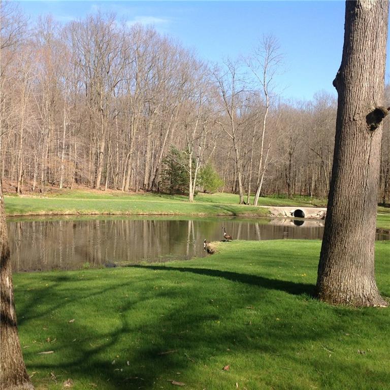 466 Robertson Road Hermitage, PA 16148 - Photo 10 of 23 Gallery Image 10