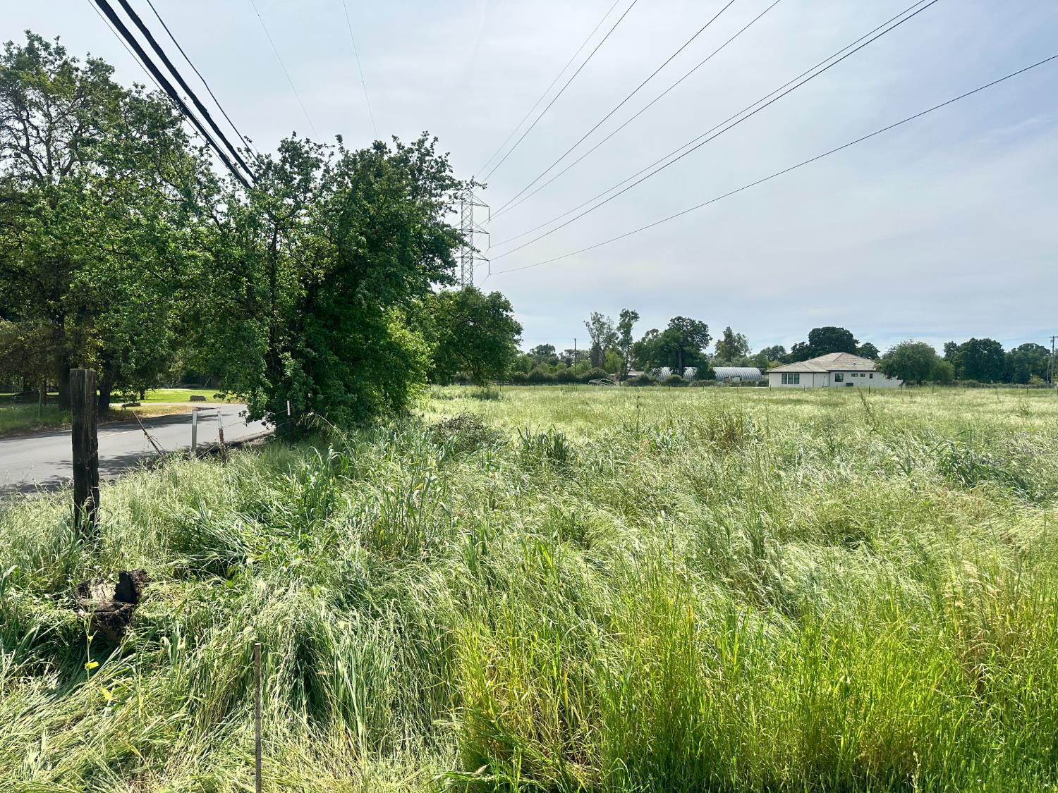 7345 16th Street Rio Linda, CA 95673 - Photo 1 of 10 a view of a green field with lots of bushes