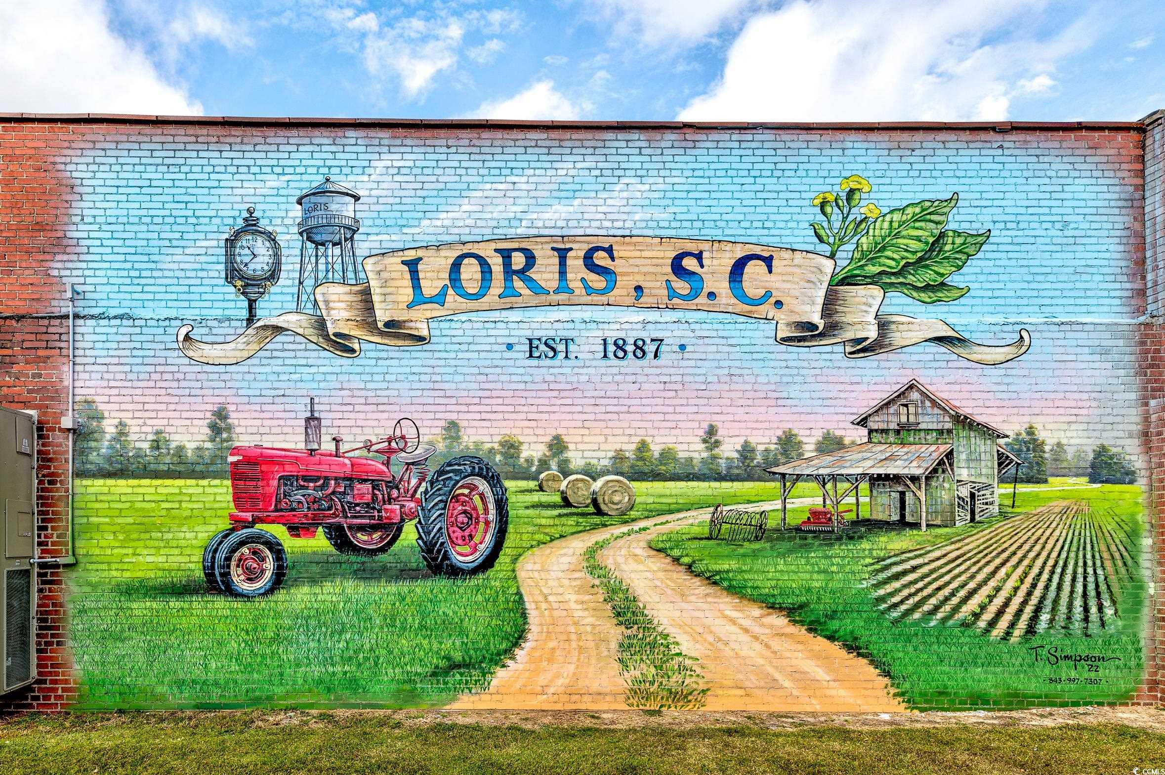 1410 Lloyd Court Loris, SC 29569 - Photo 37 of 38