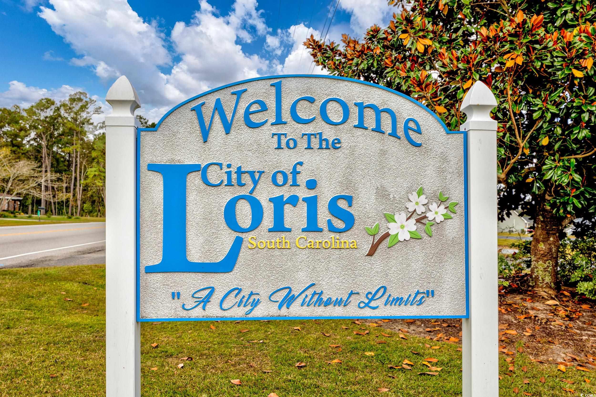 1410 Lloyd Court Loris, SC 29569 - Photo 37 of 40