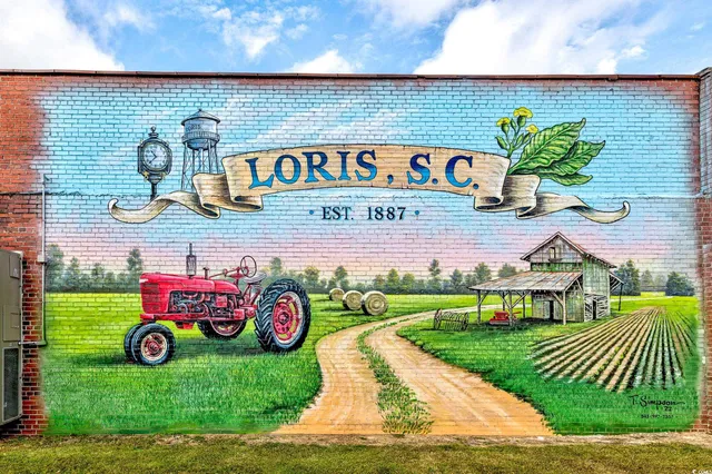 $219,900 | 1410 Lloyd Court, Loris, SC 29569