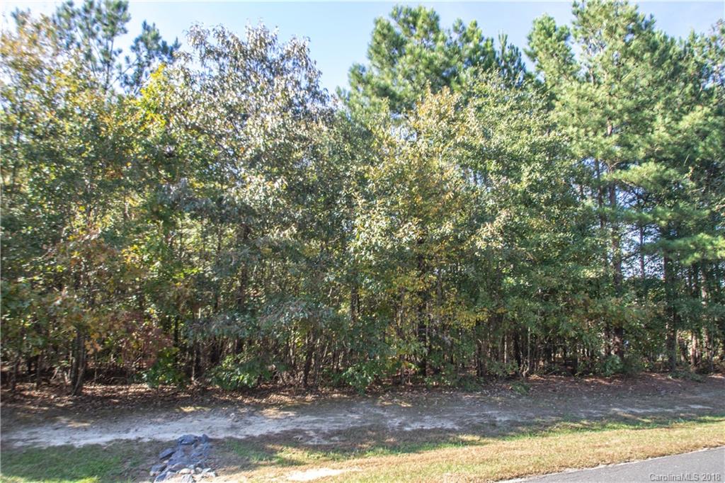 3345 Millstone Creek Road Lancaster, SC 29720 - Photo 1 of 4