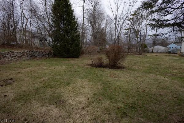 a view of a field with large trees