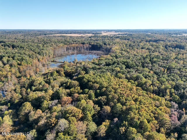 Perry Chapel Road Ashland, MS 38603 - Photo 11 of 22 unnamed (5)
