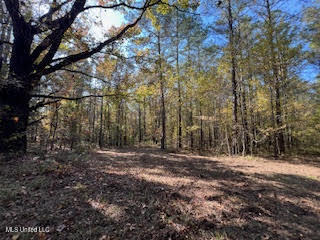 Perry Chapel Road Ashland, MS 38603 - Photo 17 of 22 unnamed (12)