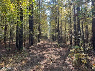 Perry Chapel Road Ashland, MS 38603 - Photo 18 of 22 unnamed (13)