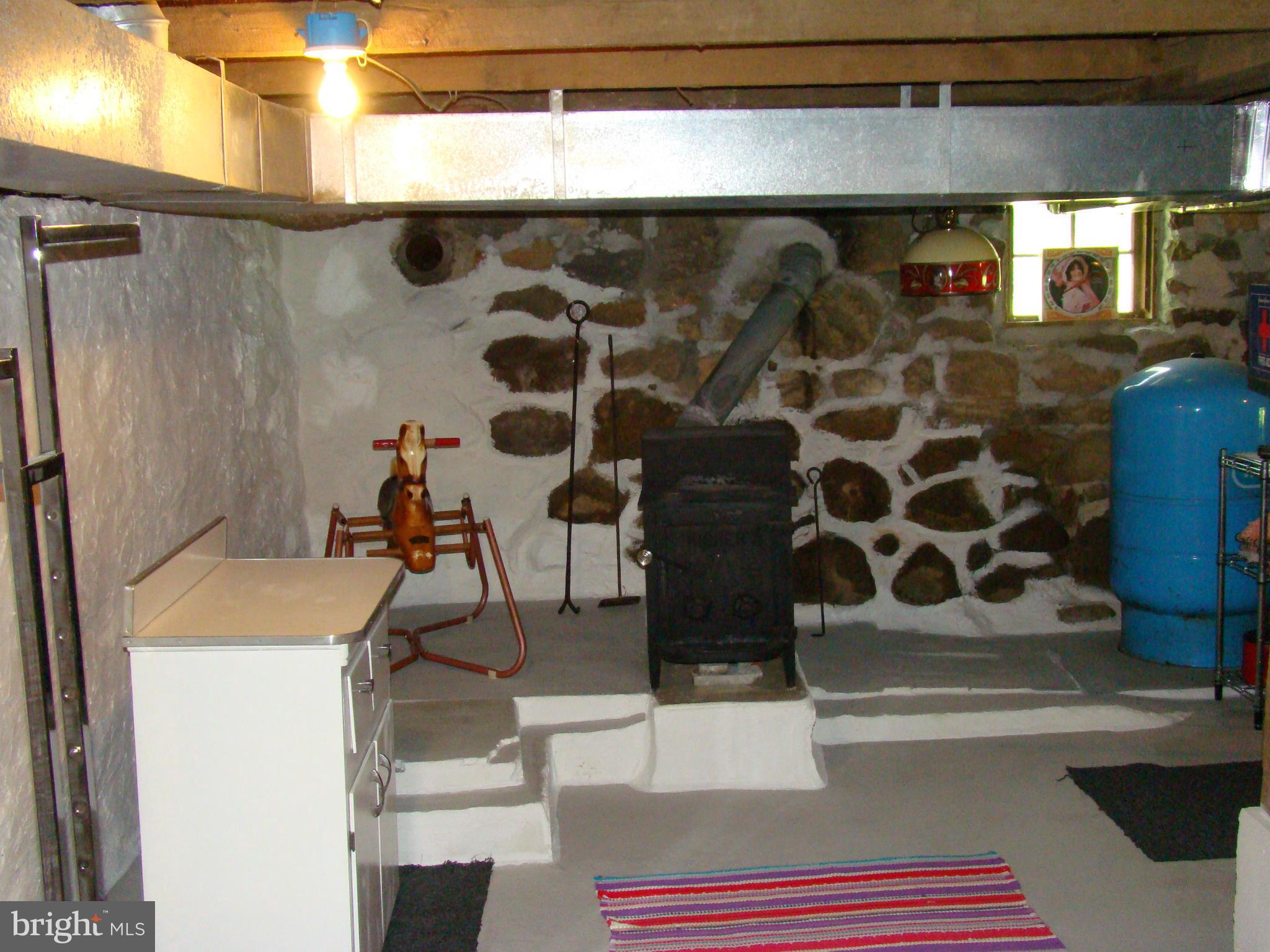 637 Pine Grove Road Bluemont, VA 20135 - Photo 19 of 29 Basement