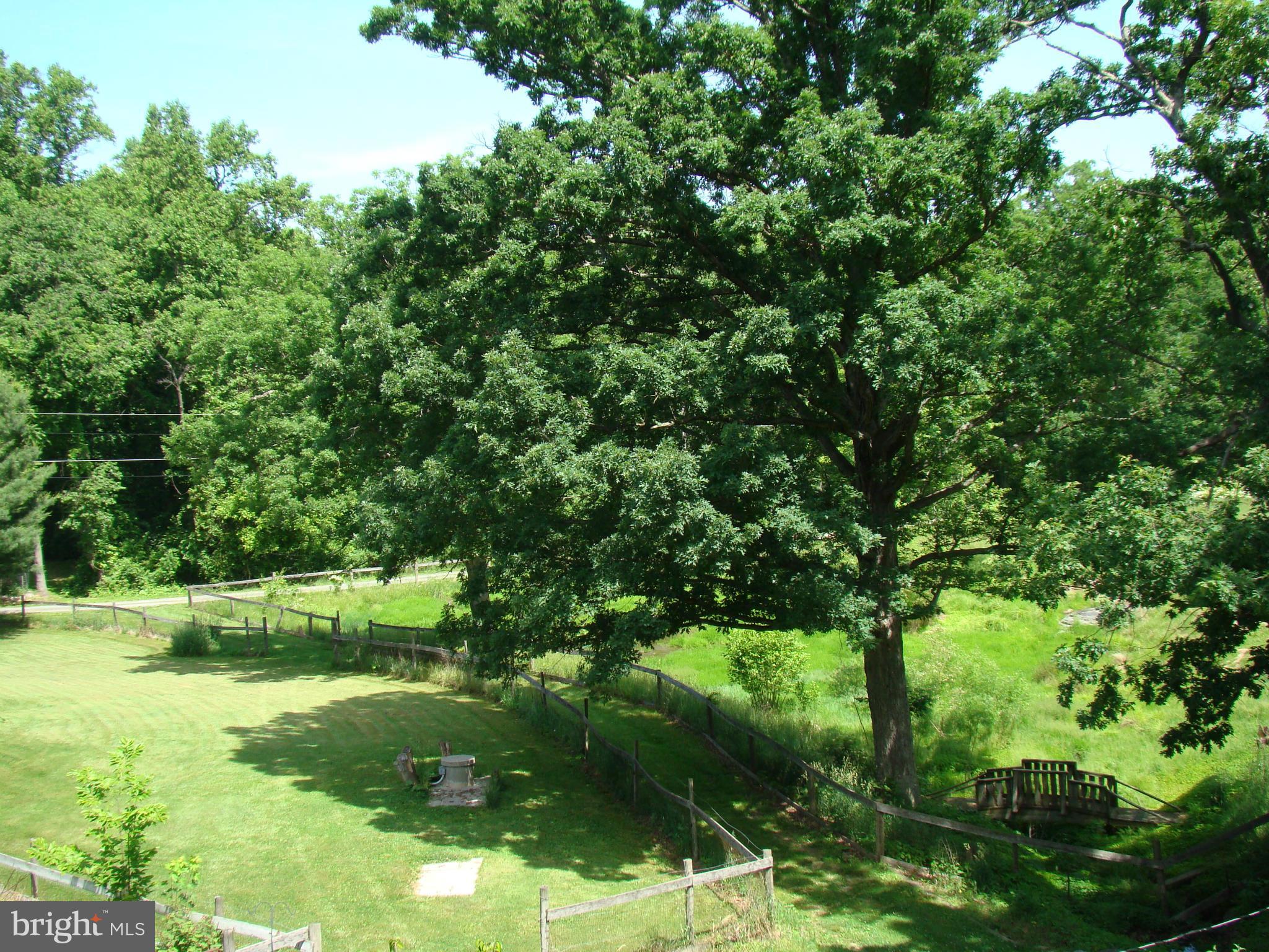 637 Pine Grove Road Bluemont, VA 20135 - Photo 24 of 29 View