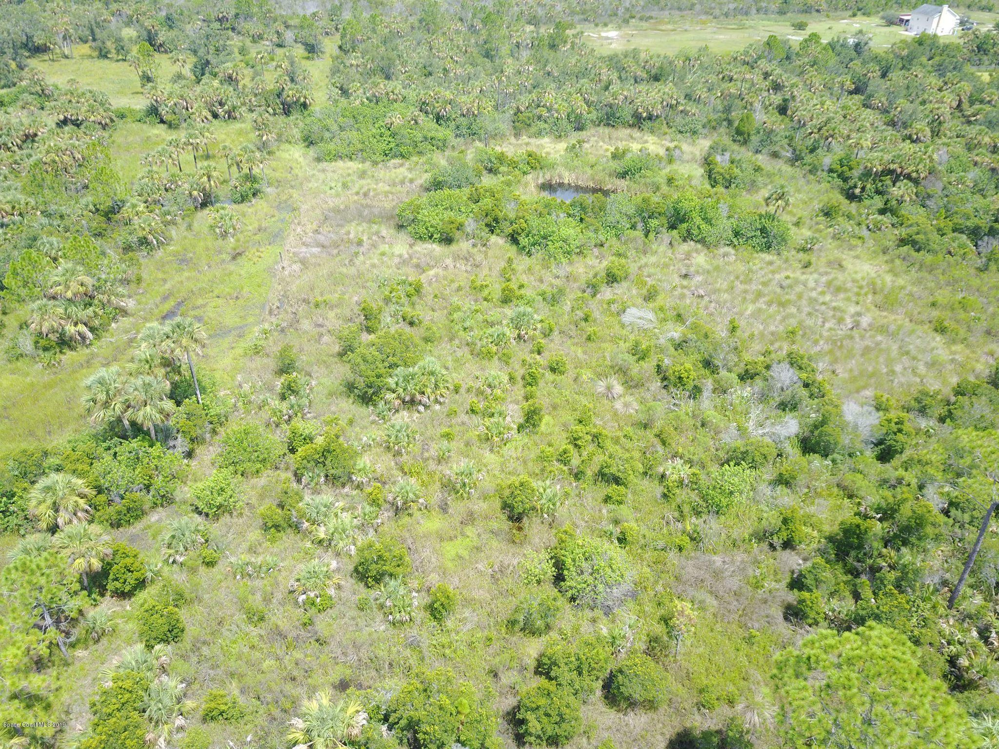 0 Liberty Road Mims, FL 32754 - Photo 4 of 12 40138748_966183636894498_203866000003694