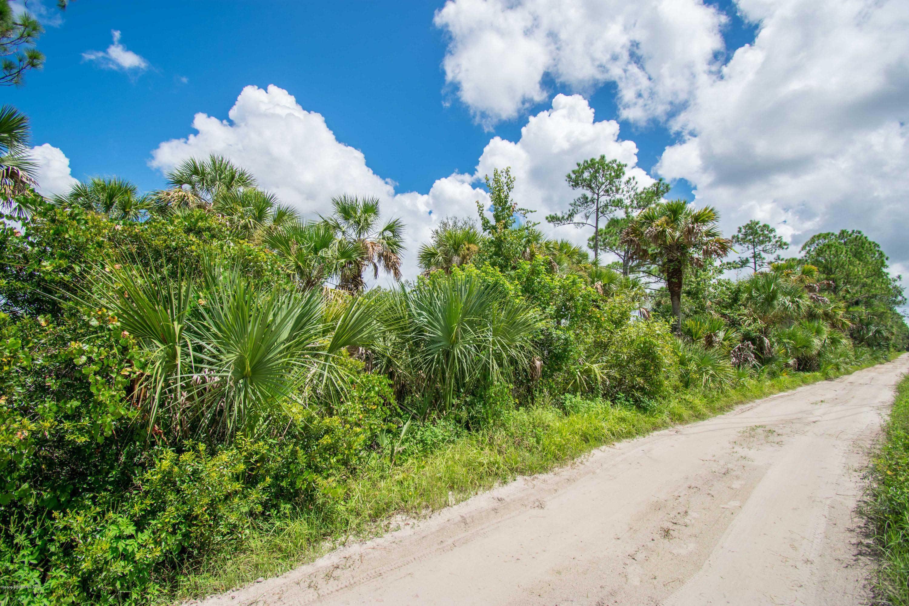 0 Liberty Road Mims, FL 32754 - Photo 9 of 12 DSC_0173