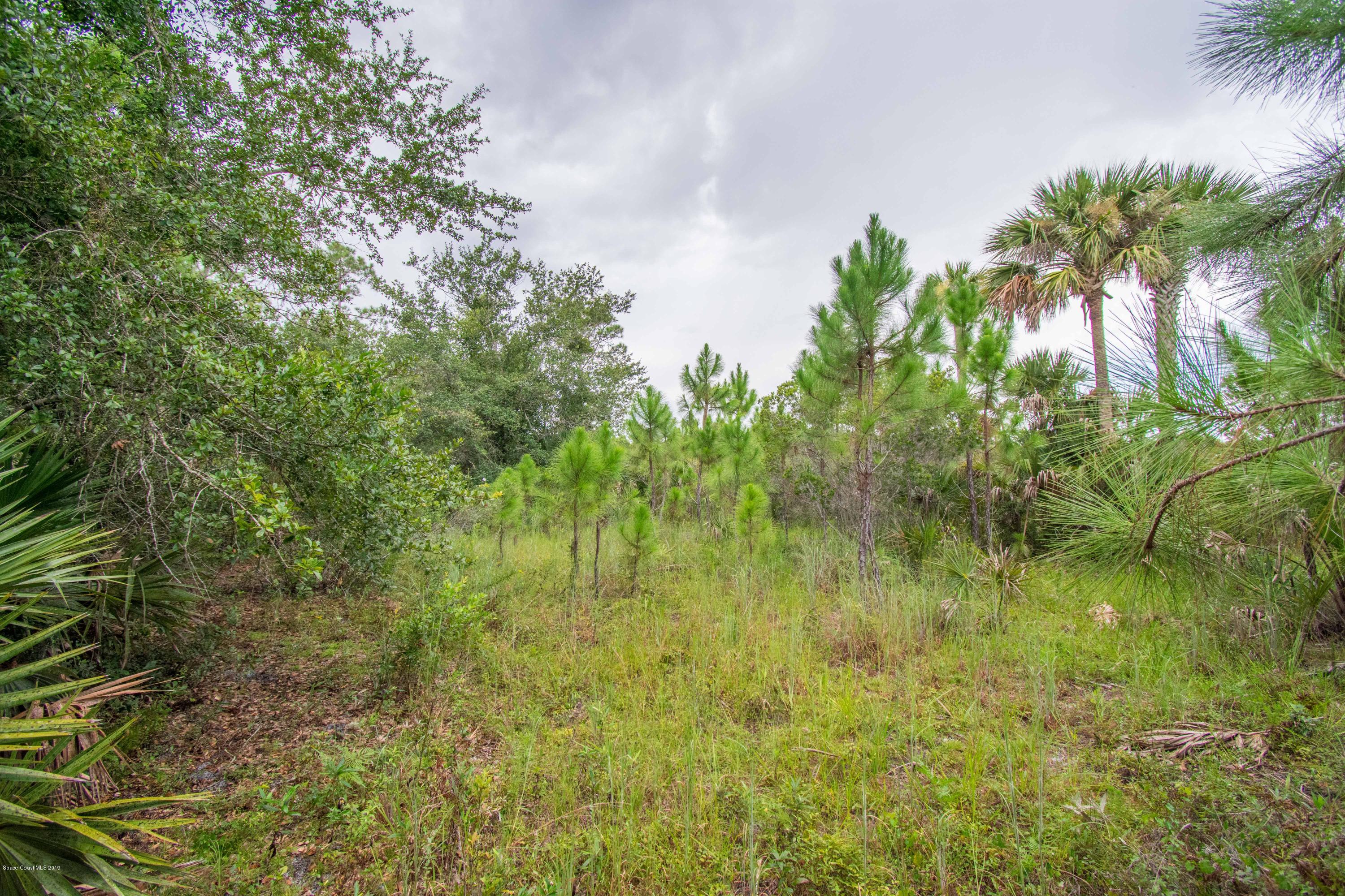 0 Liberty Road Mims, FL 32754 - Photo 10 of 12 DSC_0176