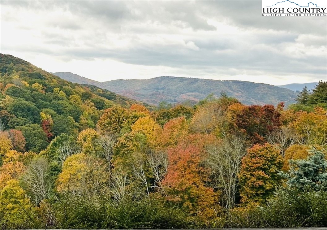 162 F Red Deer Run, Unit F Banner Elk, NC 28604 - Photo 2 of 38