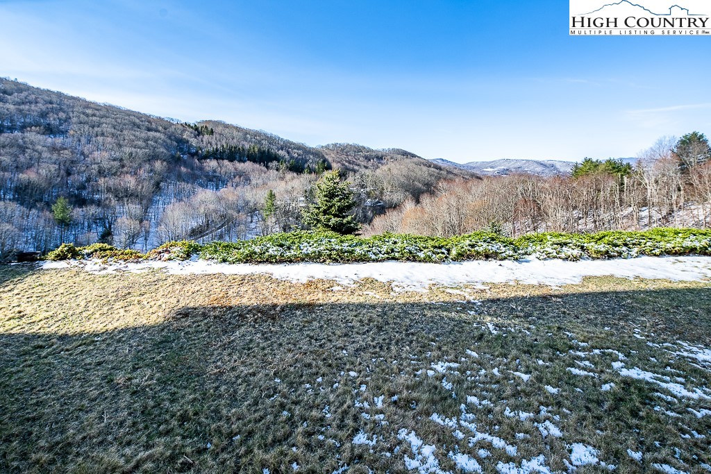 162 F Red Deer Run, Unit F Banner Elk, NC 28604 - Photo 28 of 38