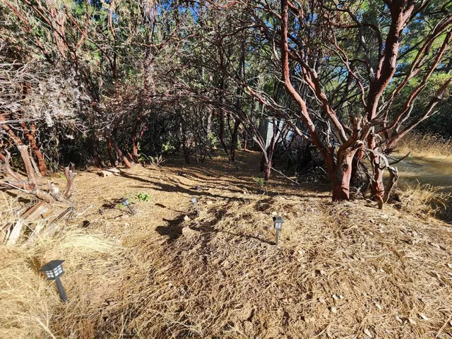 $130,000 | 1421 Gorley Lane, Rail Road Flat, CA 95248