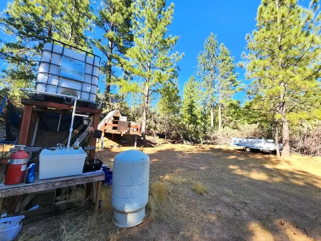 a view of a yard with plants and trees