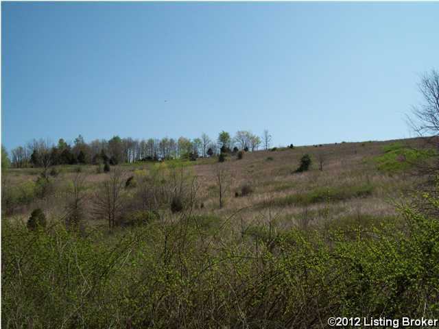 0 Jolertown Road Jetson, KY 42252 - Photo 3 of 9 Additional Photo
