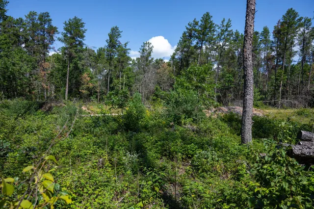 $45,000 | N8275 Woodland Trail, New Lisbon, WI 53950