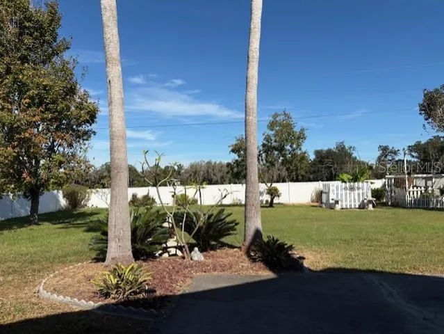 a view of a house with a yard and a large tree