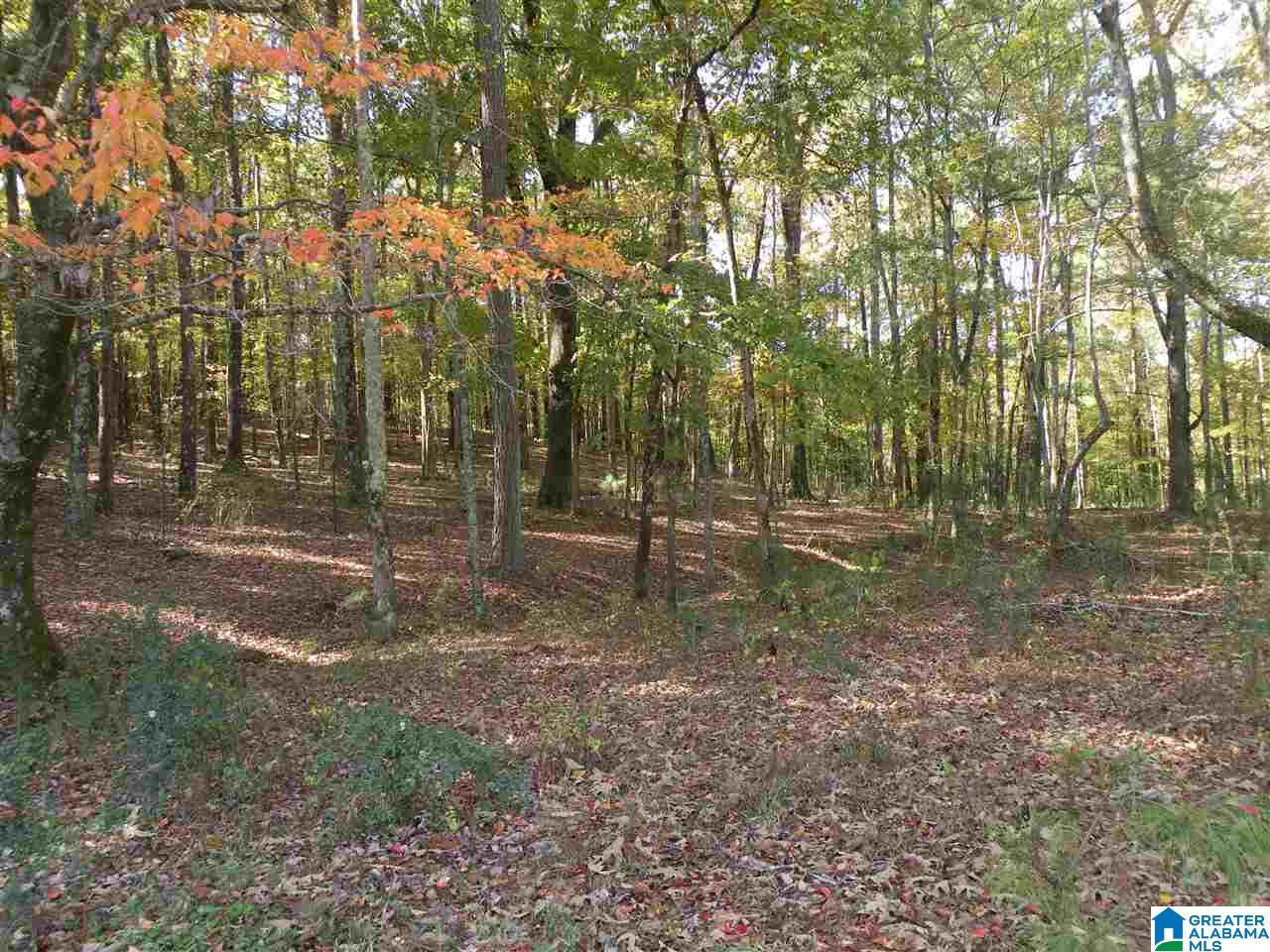4950 Plantersville Road Alpine, AL 35014 - Photo 29 of 47 Gallery Image 29