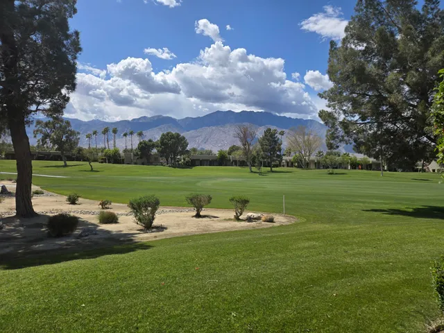 a view of a park with large trees