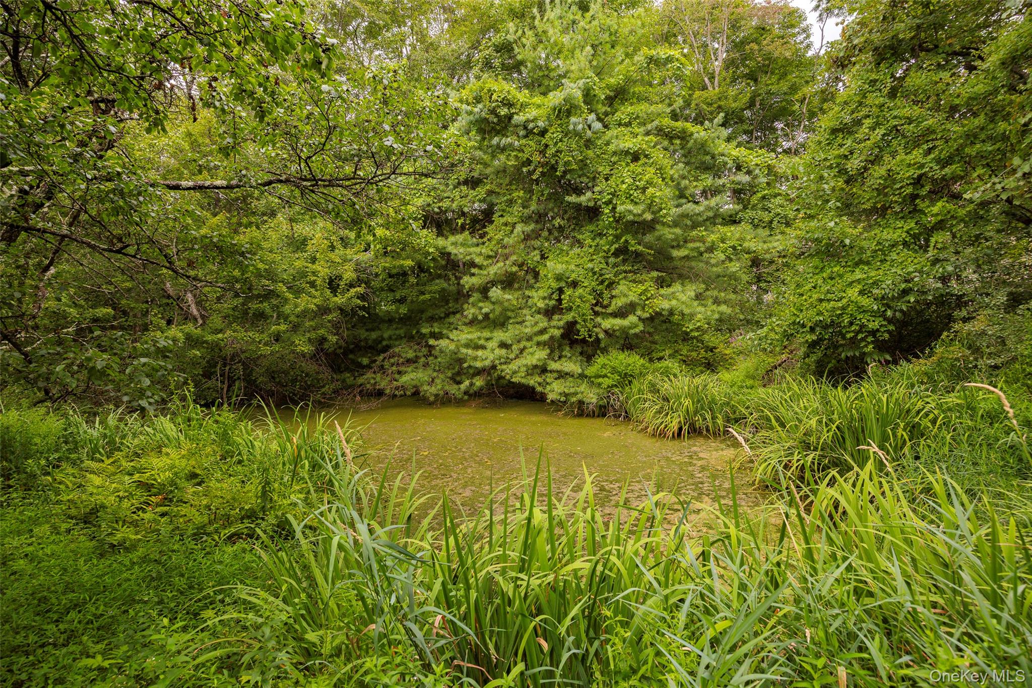 303 Freedom Road Pleasant Valley, NY 12569 - Photo 38 of 40 a view of a large yard