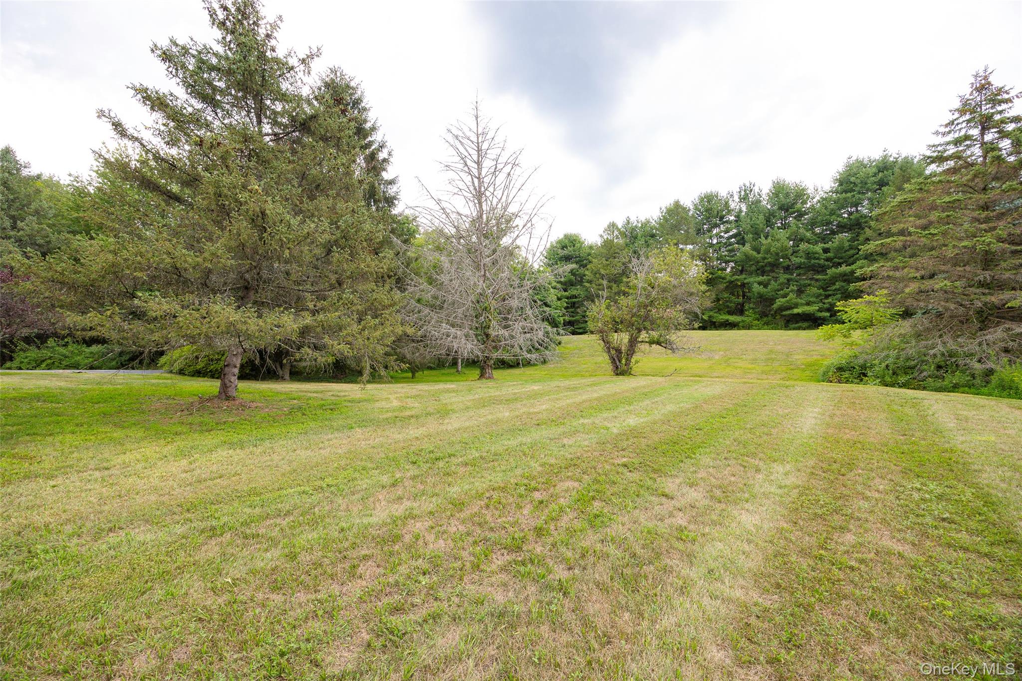 303 Freedom Road Pleasant Valley, NY 12569 - Photo 39 of 40 a view of outdoor space with yard and trees