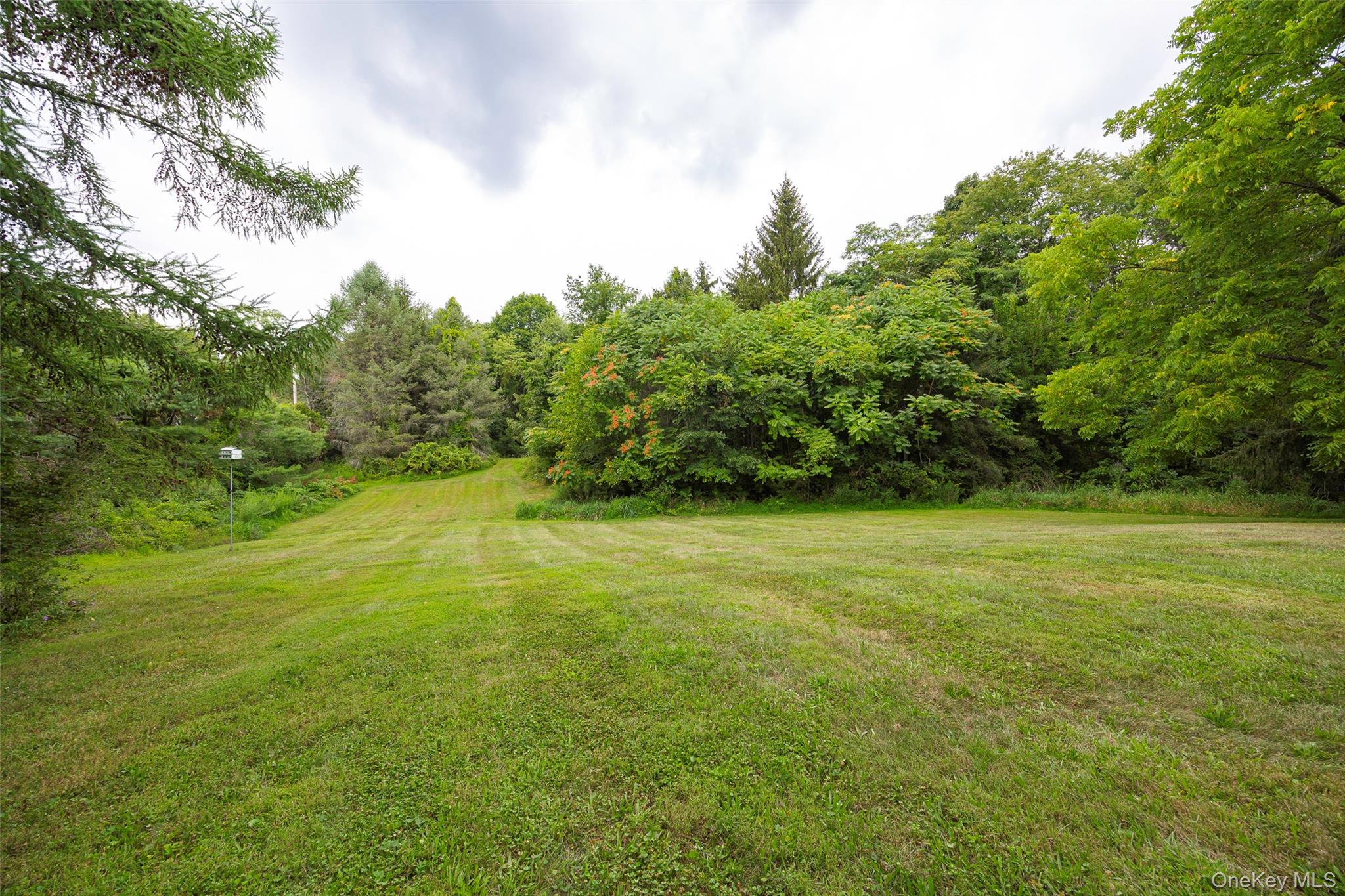 303 Freedom Road Pleasant Valley, NY 12569 - Photo 40 of 40 a view of a field with an trees