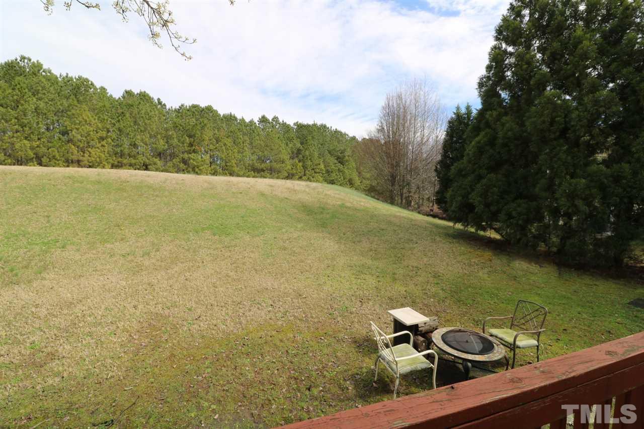 4517 Drewbridge Way Raleigh, NC 27604 - Photo 29 of 30 a view of a ocean from a balcony